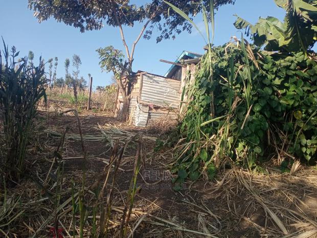 Chaka/Milimani 50/100 - thumbnail 10