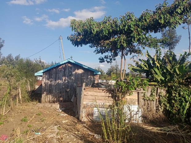 Chaka/Milimani 50/100 - thumbnail 4