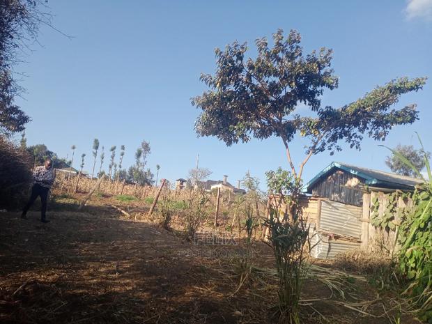 Chaka/Milimani 50/100 - thumbnail 8