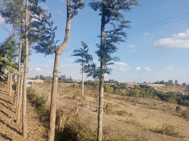 Chaka/Milimani 50/100 - thumbnail 9