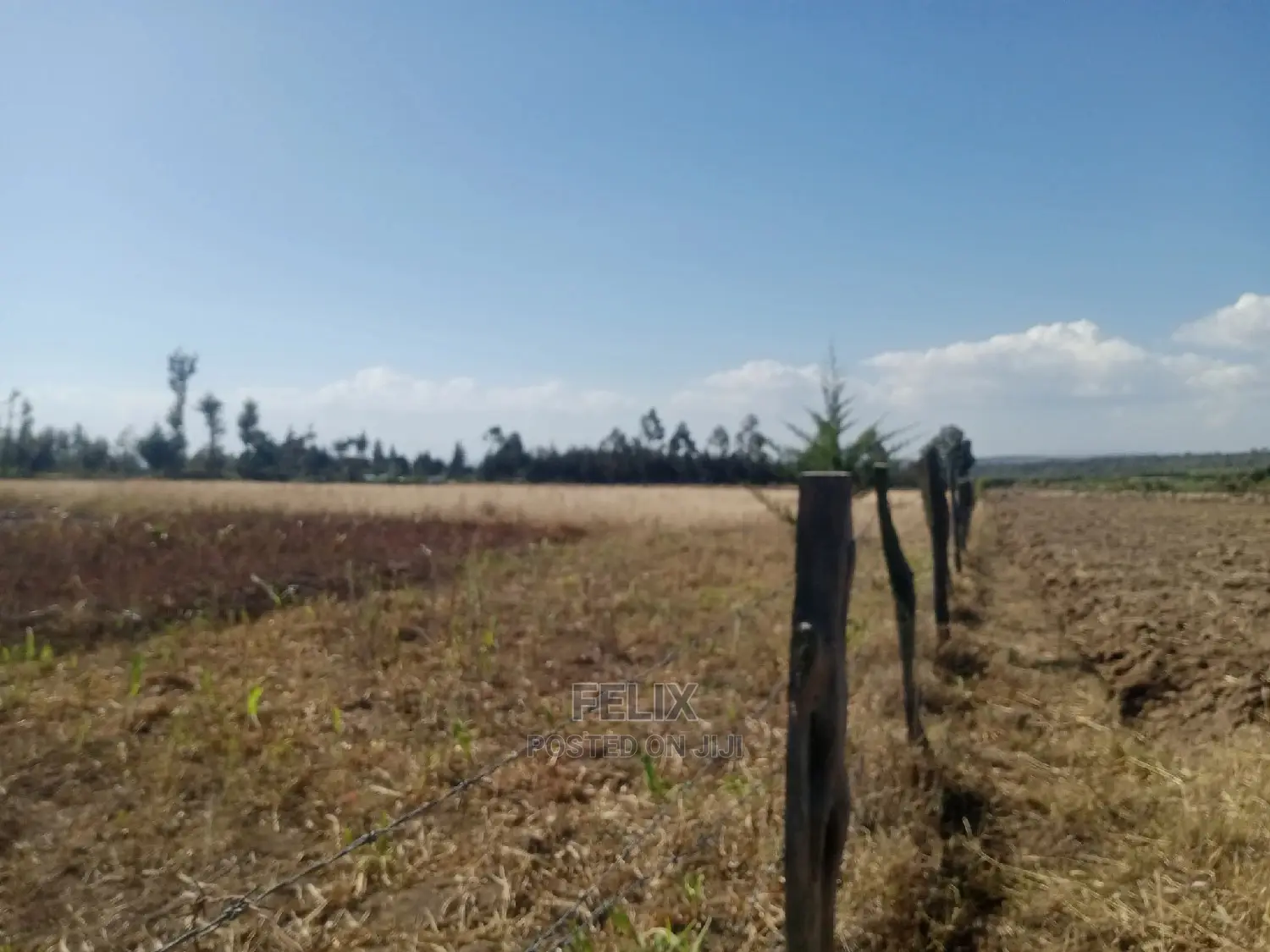 Narumoru 4.5 Acres On