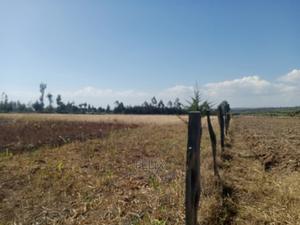 Narumoru 4.5 Acres On - thumbnail 2