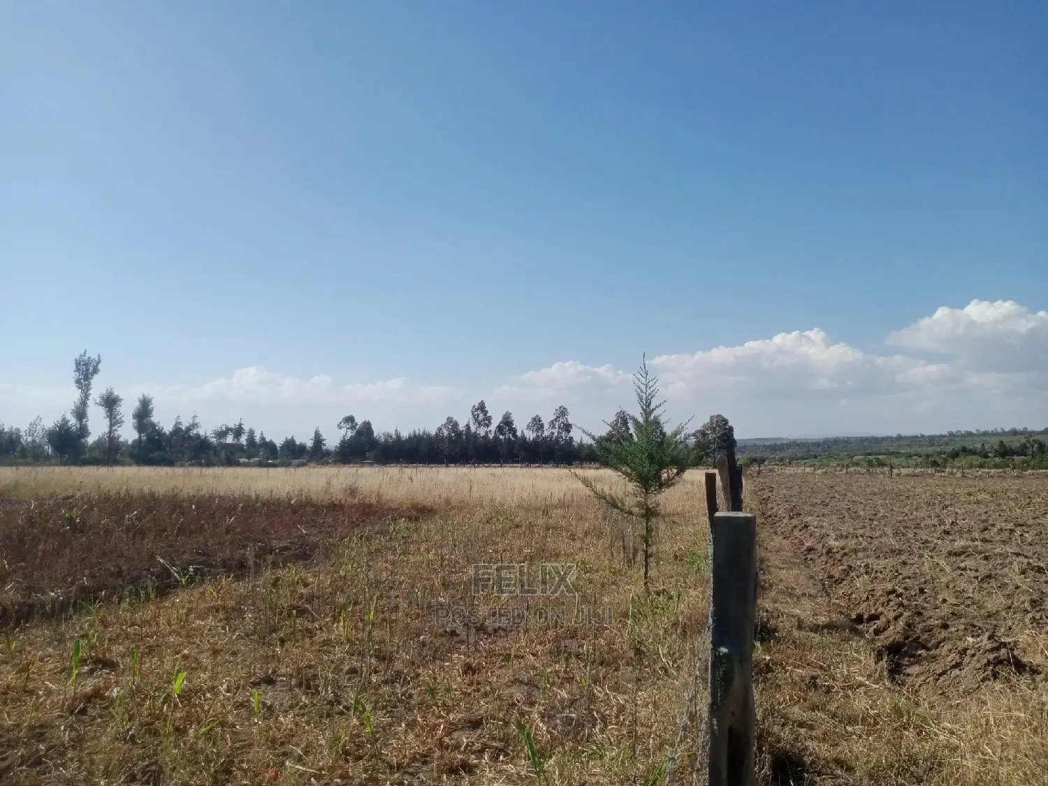 Narumoru 4.5 Acres On