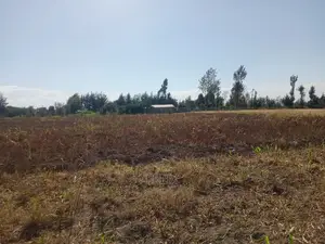 Narumoru 4.5 Acres On