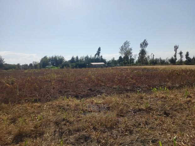 Narumoru 4.5 Acres On - thumbnail 6