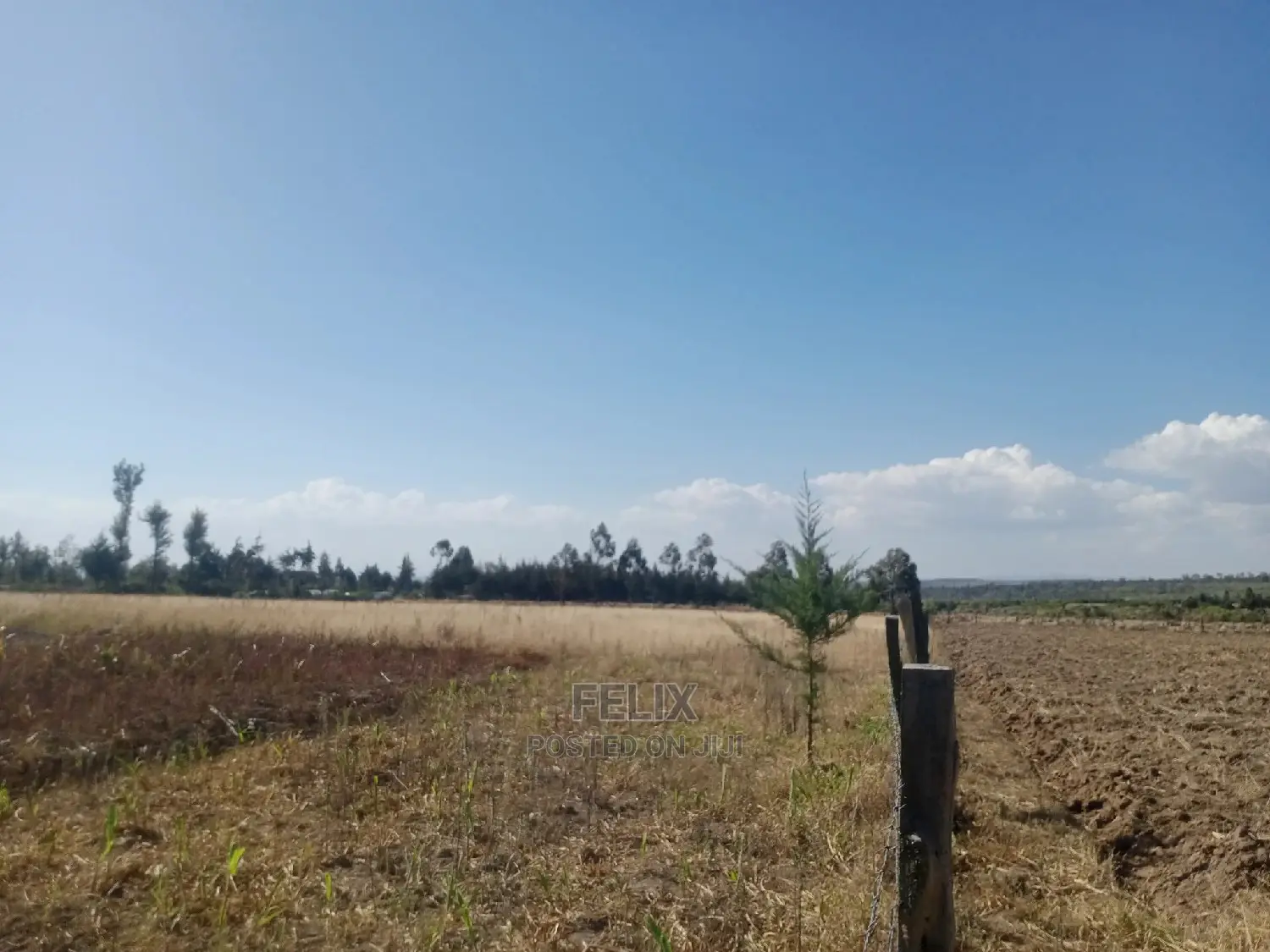 Narumoru 4.5 Acres On