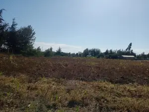 Narumoru 4.5 Acres On