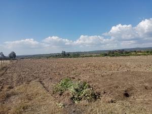 2 Acres Narumoru - thumbnail 2