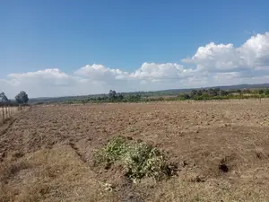 2 Acres Narumoru