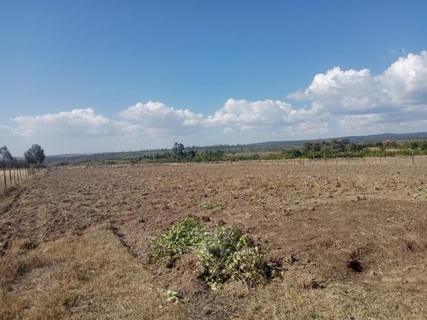 2 Acres Narumoru - main view