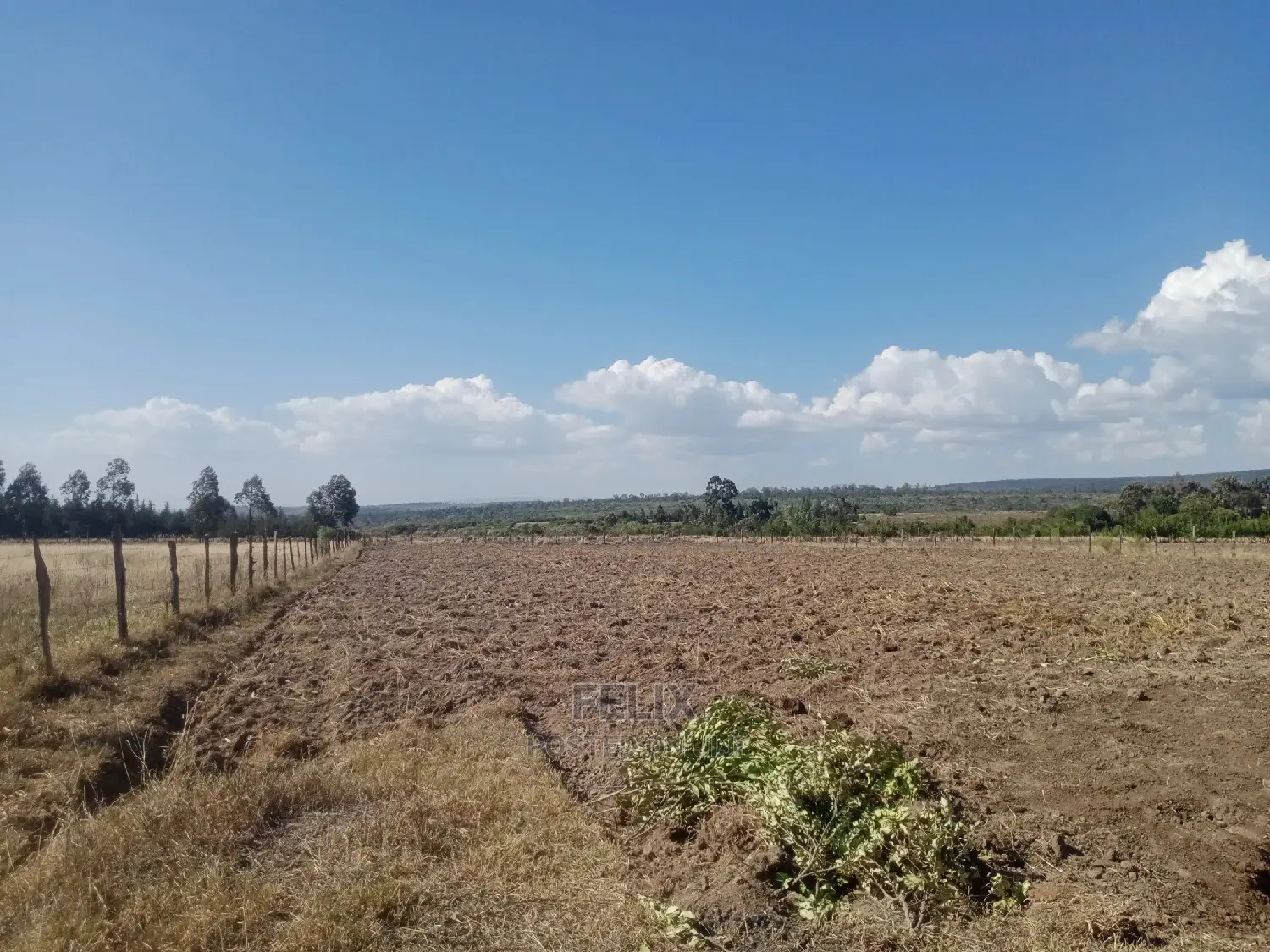 2 Acres Narumoru