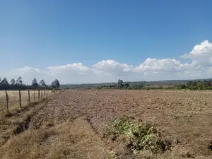 2 Acres Narumoru