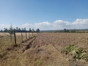 2 Acres Narumoru