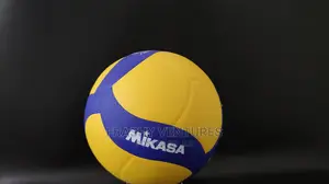 Volleyball
