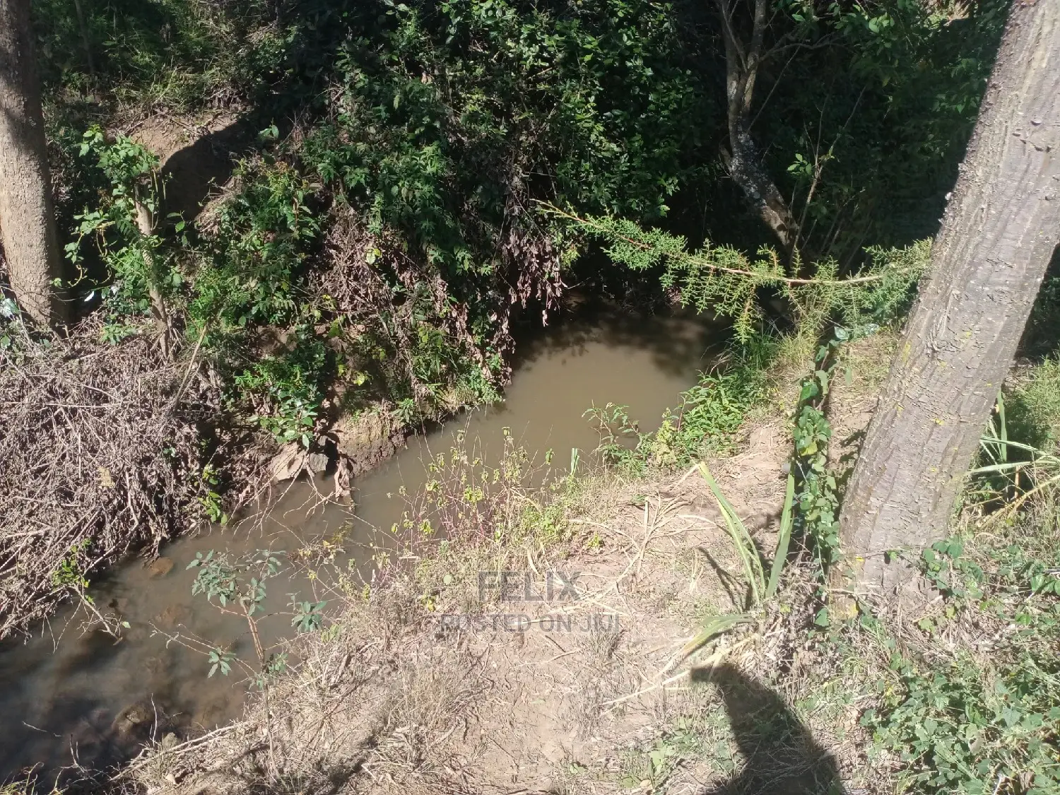 Nanyuki Airstrip 1.5 Acres