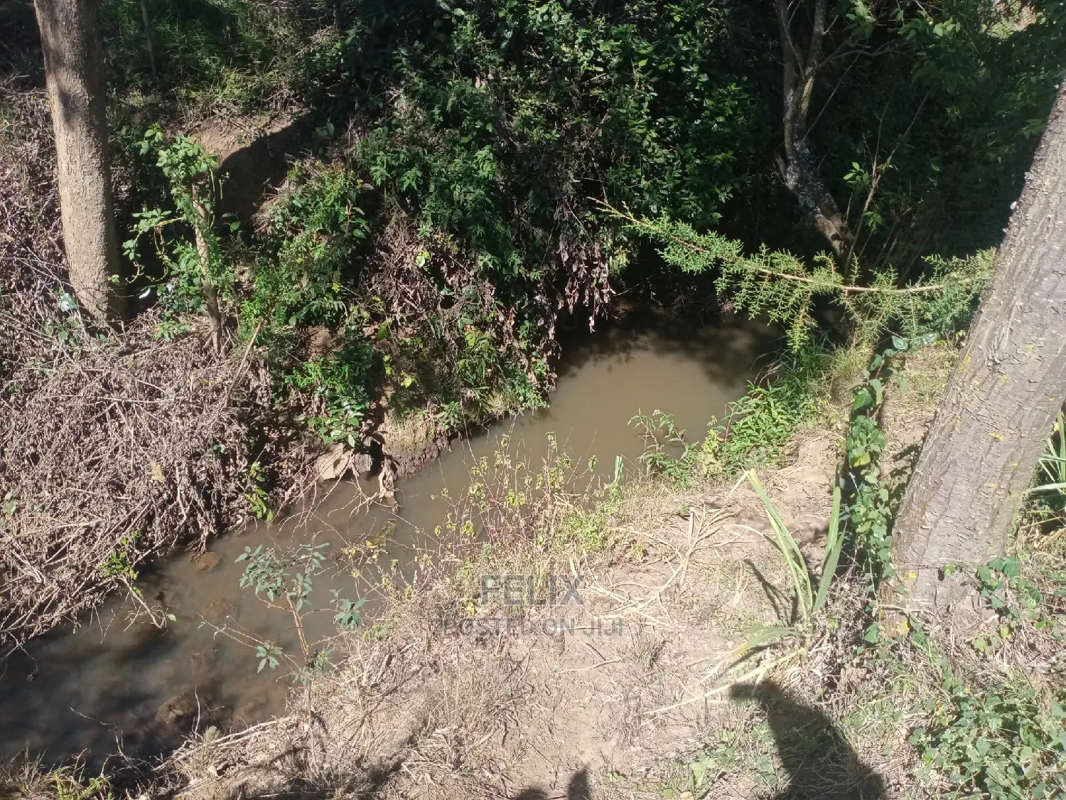 Nanyuki Airstrip 1.5 Acres