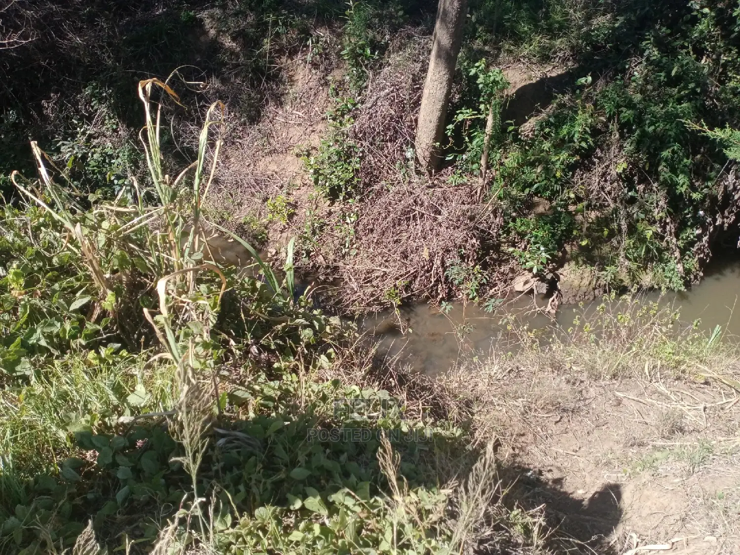 Nanyuki Airstrip 1.5 Acres