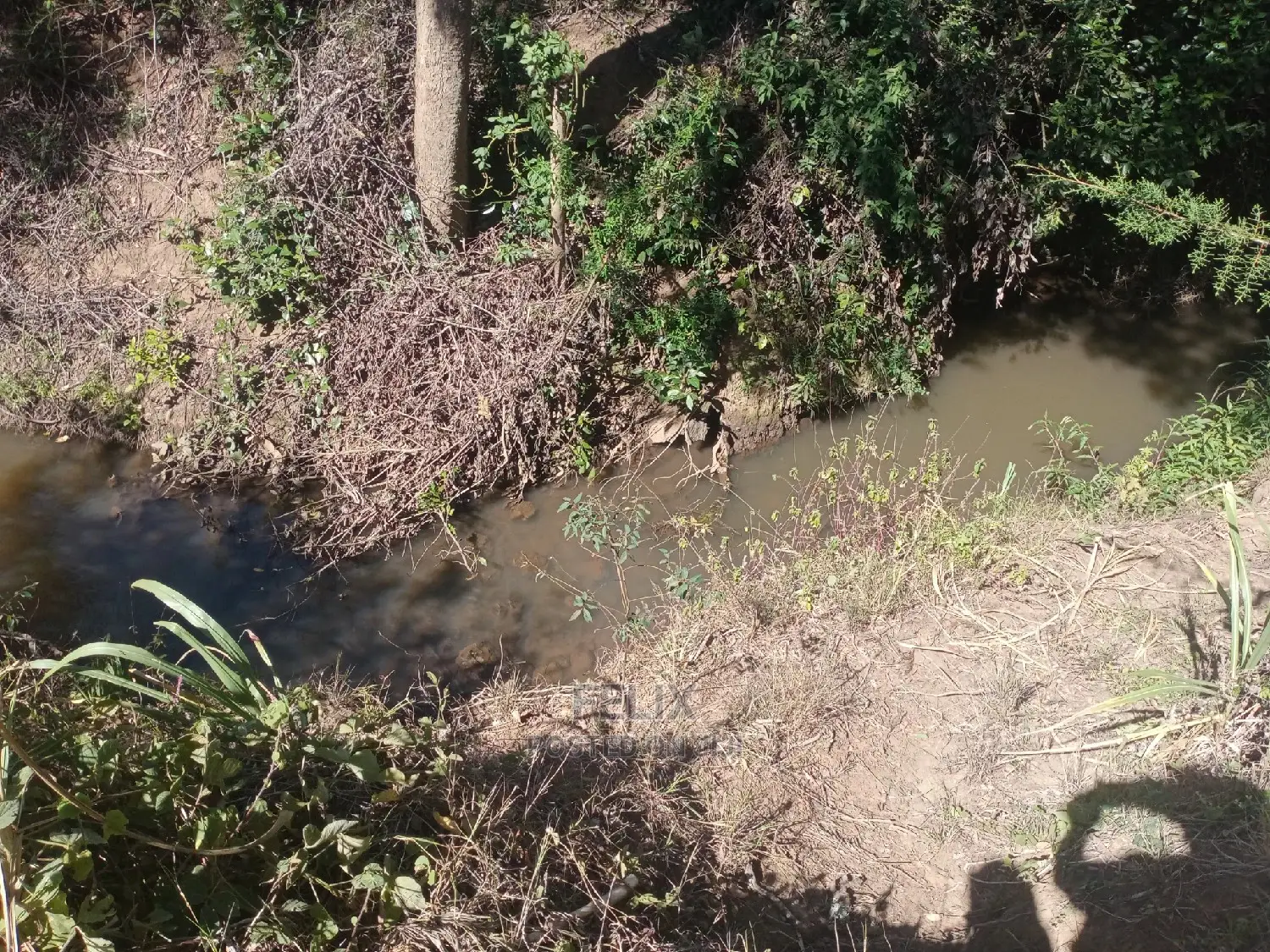 Nanyuki Airstrip 1.5 Acres