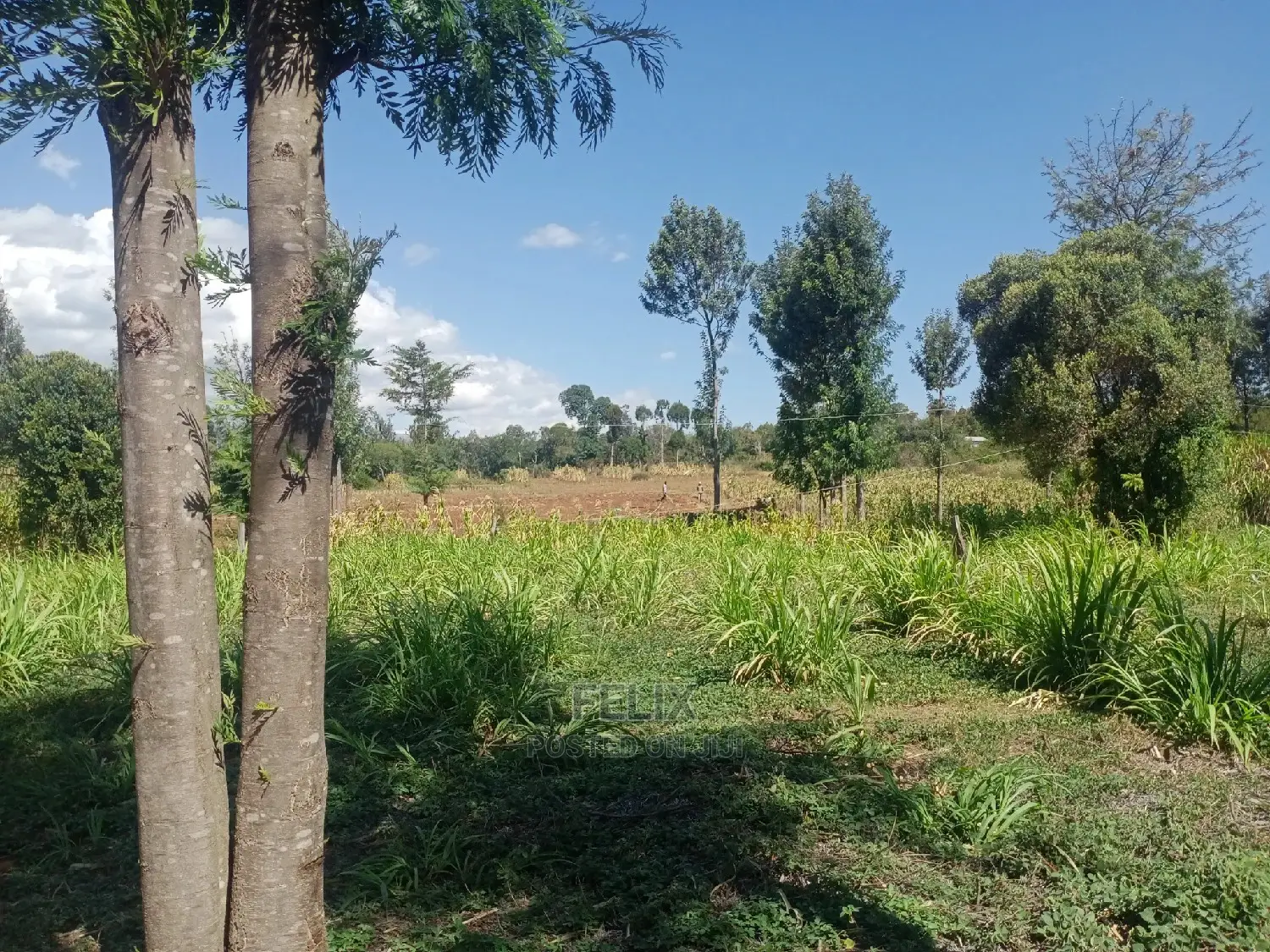 Nanyuki Airstrip 1.5 Acres