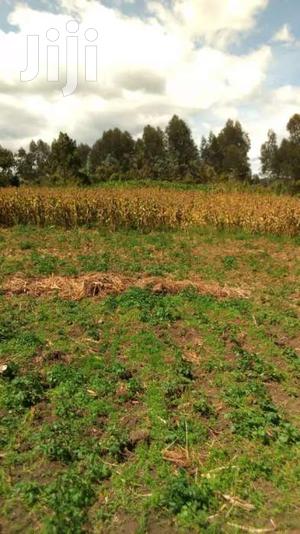 12 Acres of Land for Sale in Kinangop Engineer