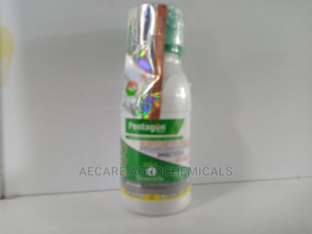Pentagon Insecticide 100ml - thumbnail 3