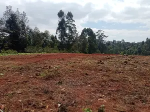 Prime Plots Karatina/Karindundu