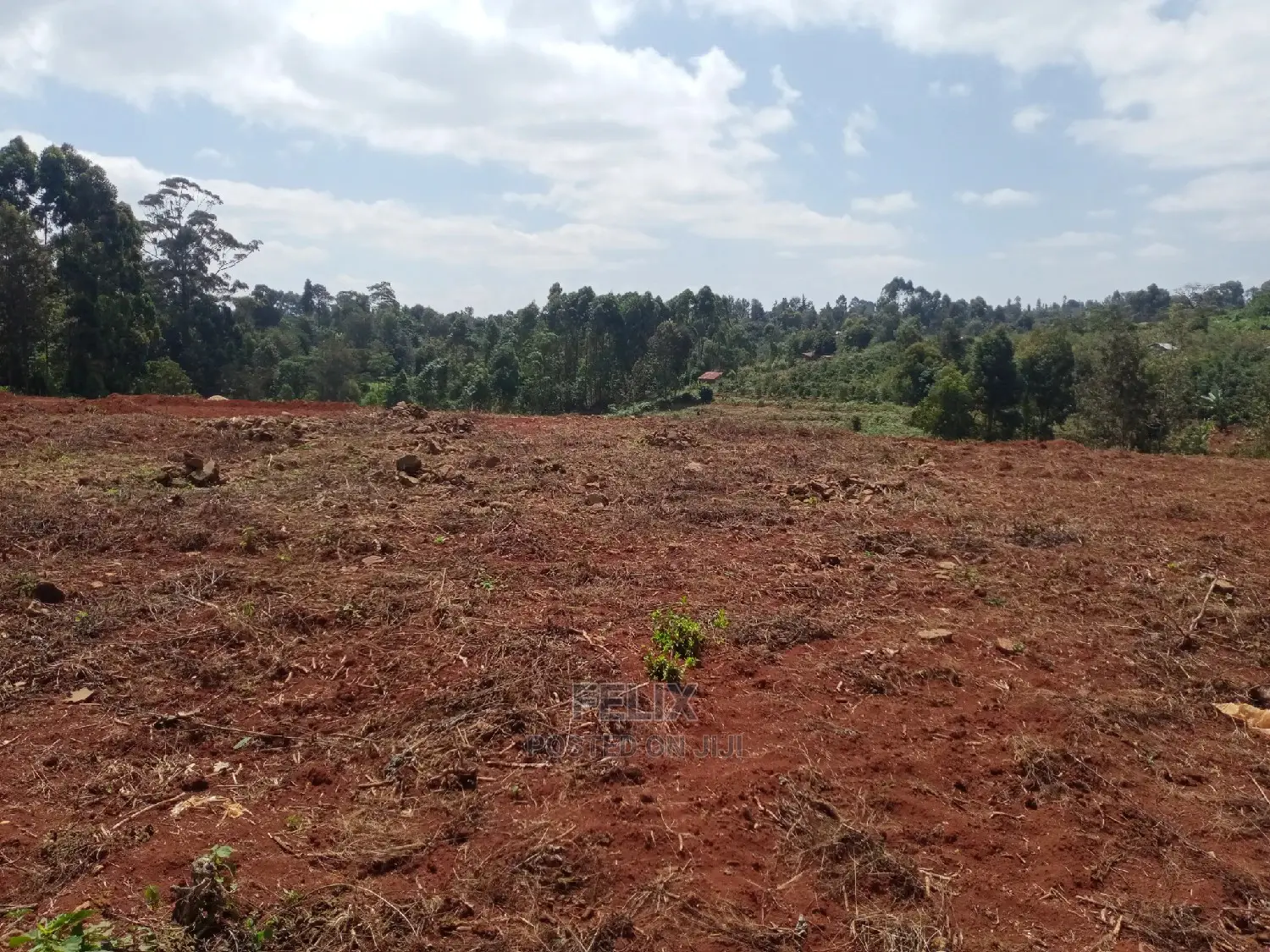 Prime Plots Karatina/Karindundu