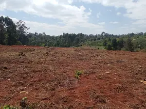 Prime Plots Karatina/Karindundu