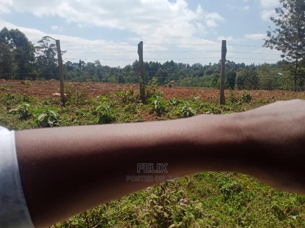 Prime Plots Karatina/Karindundu - thumbnail 8