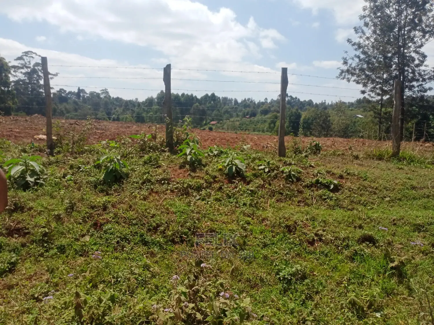 Prime Plots Karatina/Karindundu