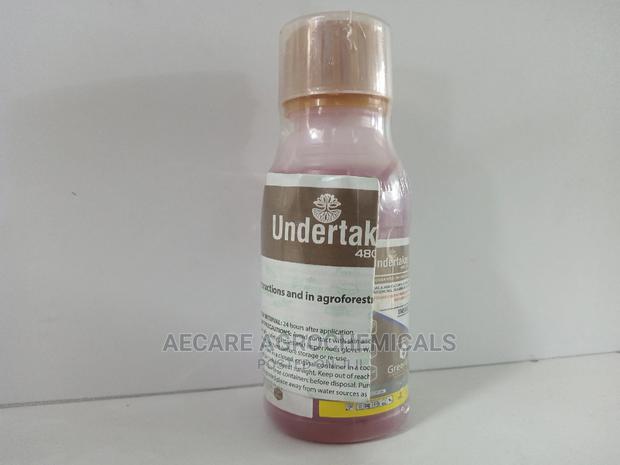 Undertaker Insecticide 100ml - main view