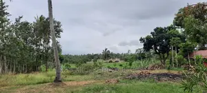 A Parcel of 6 Acres at Bomani on Sale