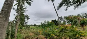 A Parcel of 6 Acres at Bomani on Sale