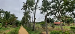 A Parcel of 6 Acres at Bomani on Sale