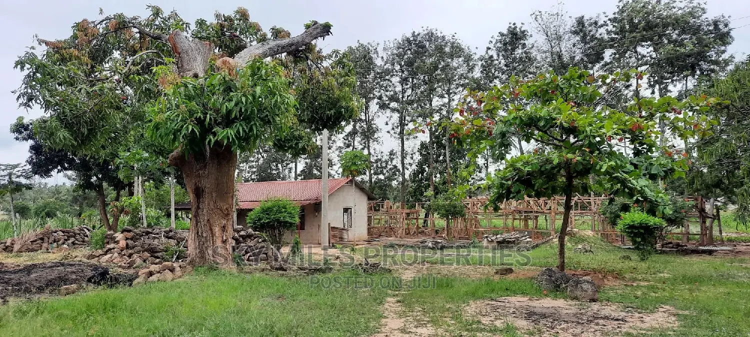 A Parcel of 6 Acres at Bomani on Sale