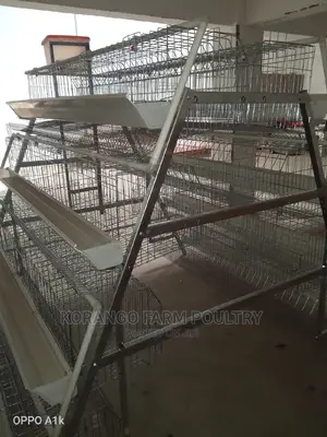 Battery Cages128 Capacity