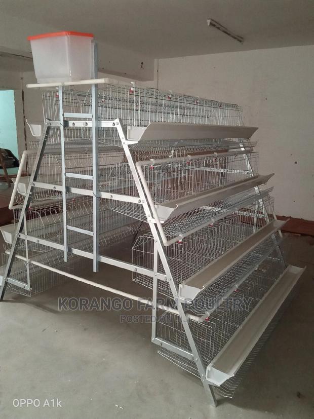 Battery Cages128 Capacity - main view