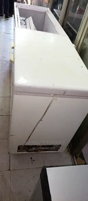 Ramtons 250L Freezer