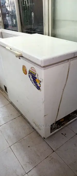 Ramtons 250L Freezer