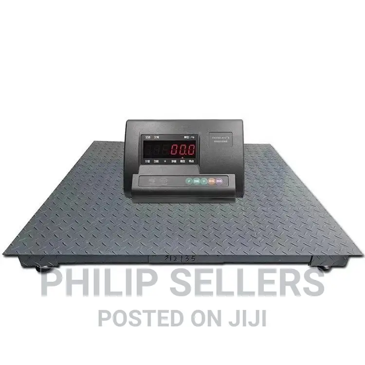 1 Tonne Digital Platform Weighing Scale With A12 Indicator