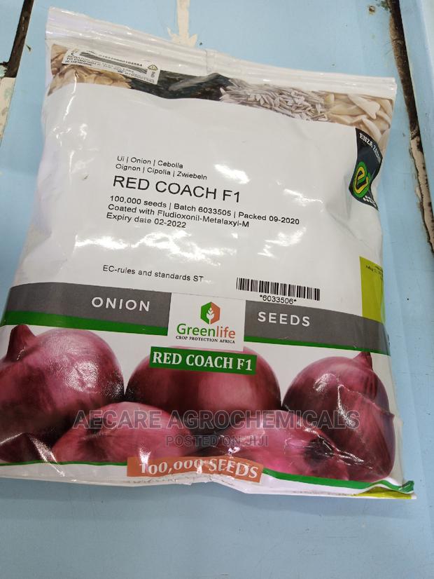 Redcoach F1 Hybrid Onion Seeds 400G