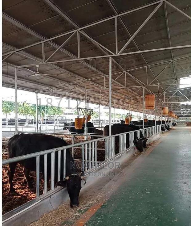 Cow Brush( Automatic) - thumbnail 3