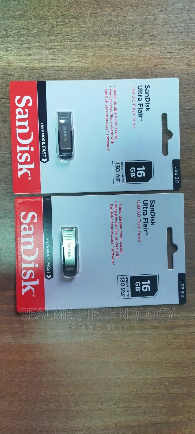 Sandisk Flash Disk