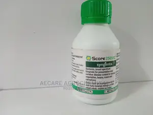 Score Fungicide 250ec 100ml