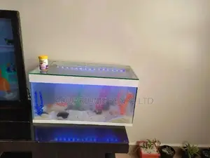 Complete 60L Aquarium Tank, Aquarium Accessories, Aquarium