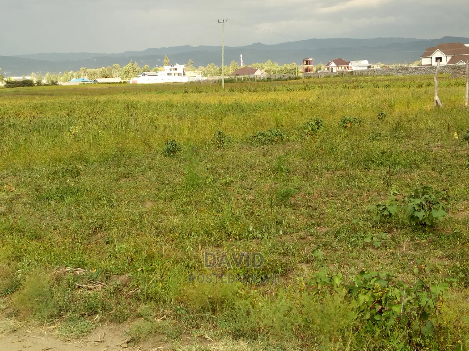 Plot for Sale in Muwa