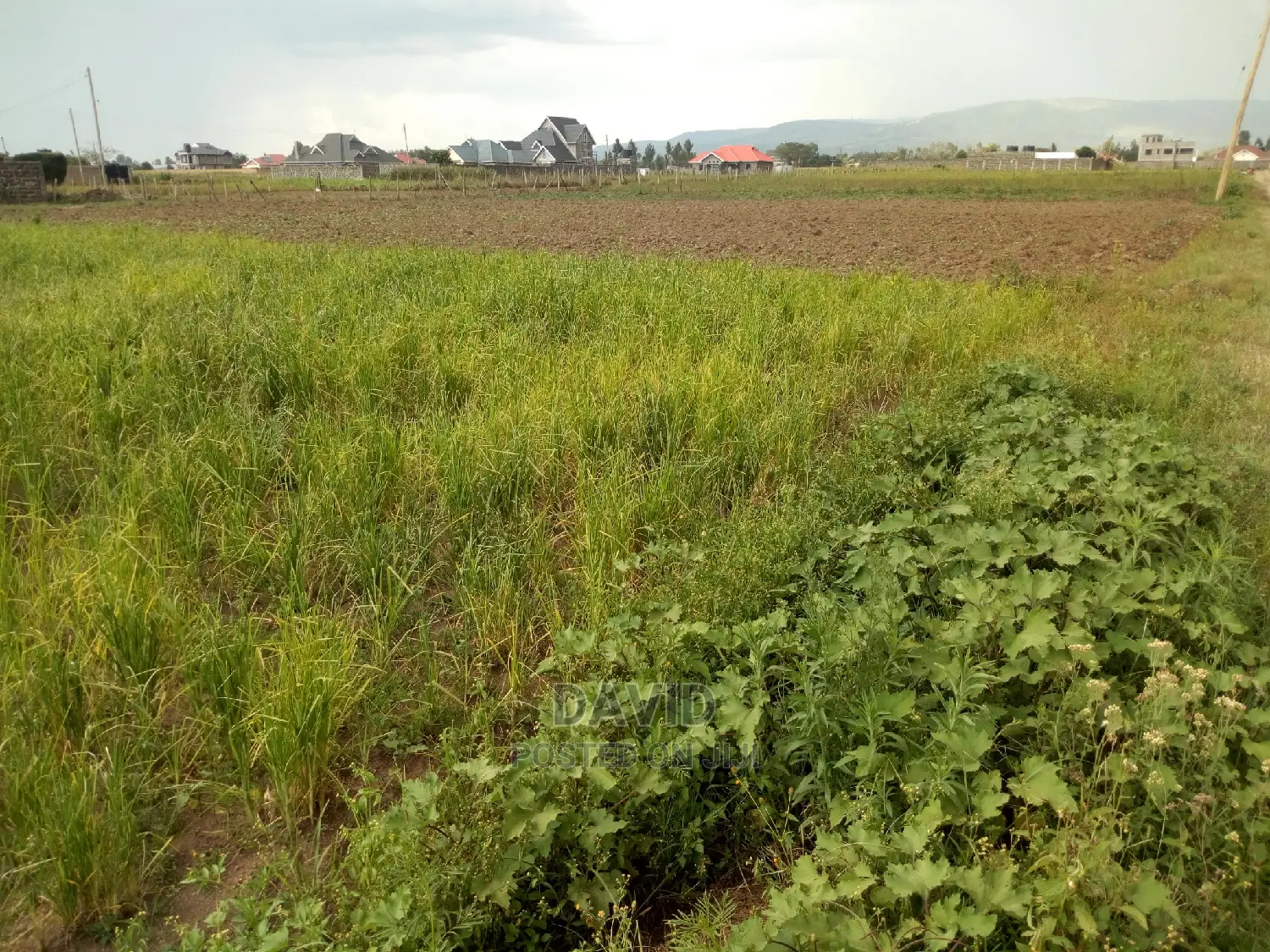Plot for Sale in Muwa