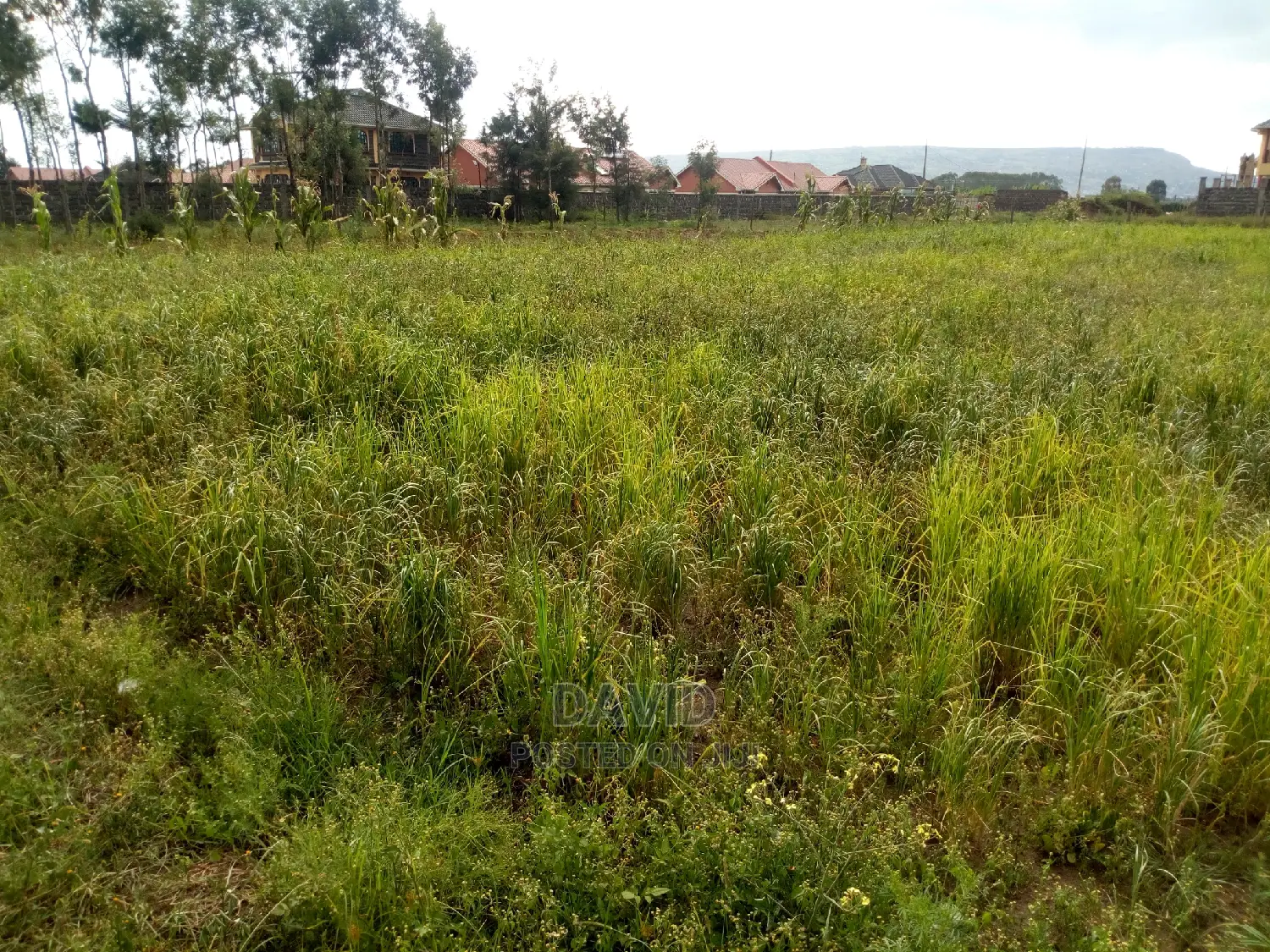 Plot for Sale in Muwa