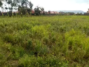 Plot for Sale in Muwa