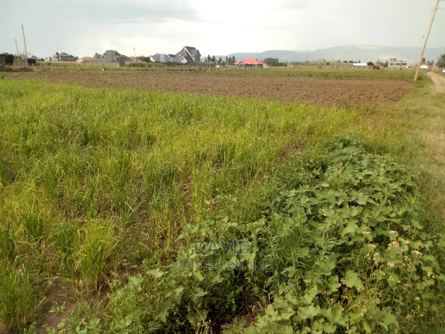 Plot for Sale in Muwa
